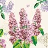 Null Nouveau 20 Servietten, 3-lagig 1/4-Falz 33 Cm X 33 Cm "Syringa"